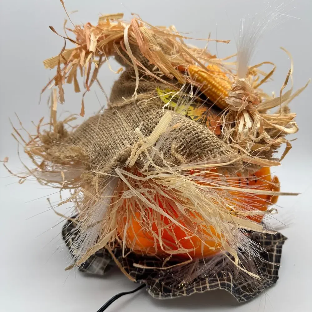 Pumpkin Hollow Fiber Optic Scarecrow Halloween Decor 11